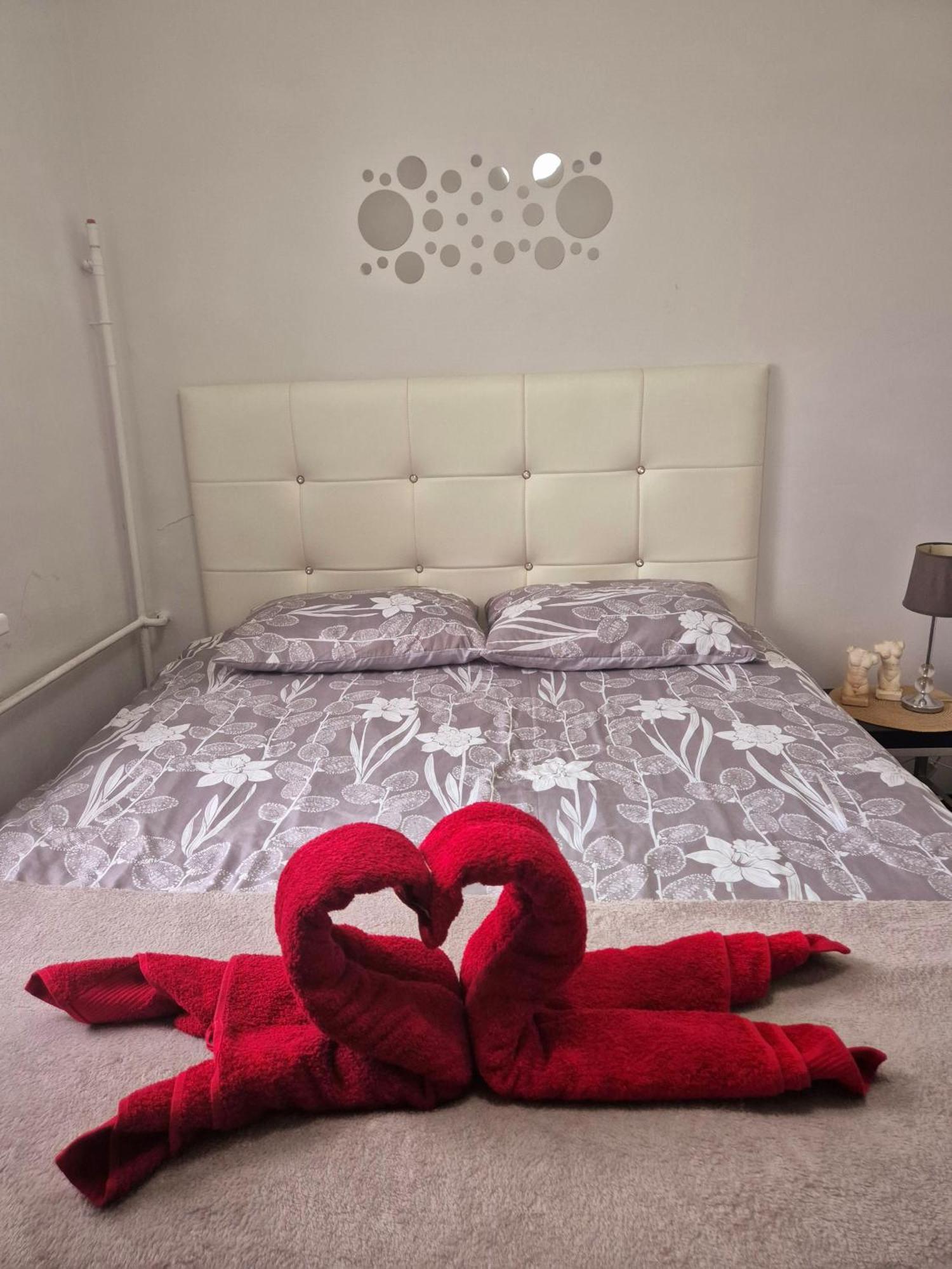 Apartament Zdunska Włocławek Zewnętrze zdjęcie